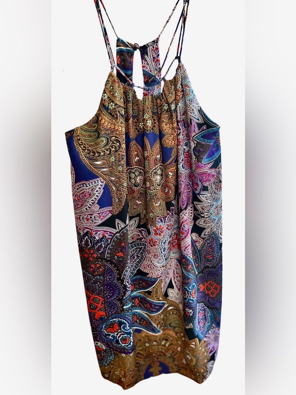 NWT Greylin / Anthropologie Boho Paisley Multicolor Maxi Dress S